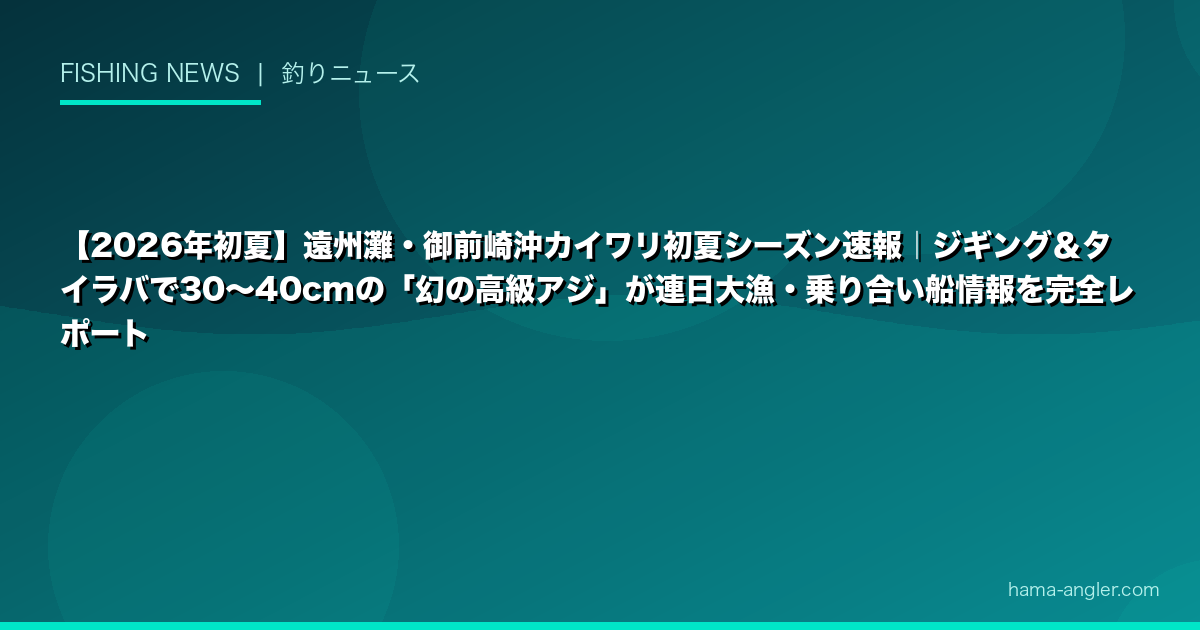 【2026年初夏】遠州灘・御前崎沖カイワリ初夏シーズン速報｜ジギング＆タイラバで30〜40cmの「幻の高級アジ」が連日大漁・乗り合い船情報を完全レポート