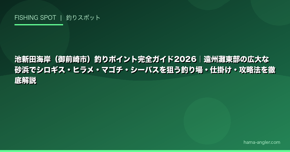 池新田海岸(御前崎市)釣りポイント完全ガイド2026|遠州灘東部の広大な砂浜でシロギス・ヒラメ・マゴチ・シーバスを狙う釣り場・仕掛け・攻略法を徹底解説