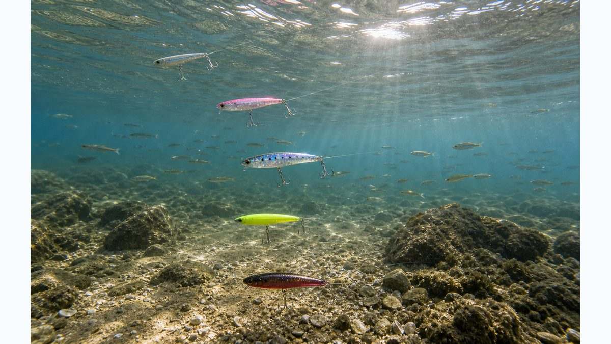 なぜルアーカラーで釣果が変わるのか？魚の視覚を科学するの要点をまとめた釣り攻略インフォグラフィック
