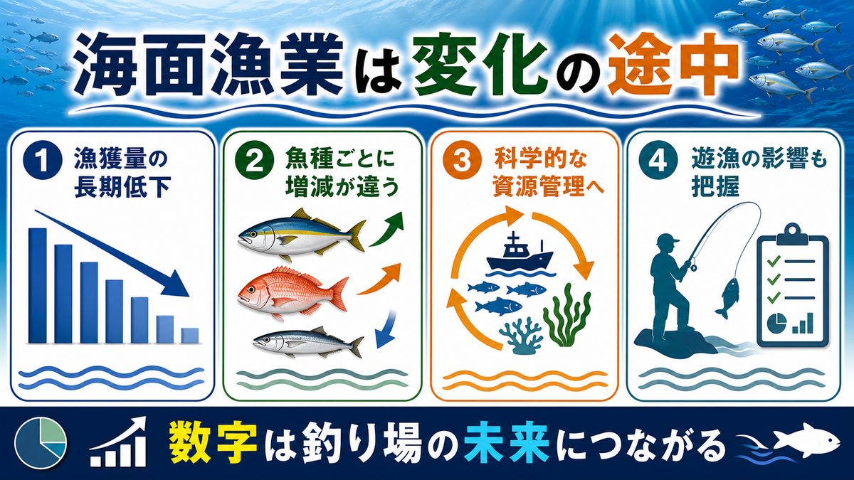 日本の海面漁業の現状:数字で見る縮小と変化の要点をまとめた釣り攻略インフォグラフィック