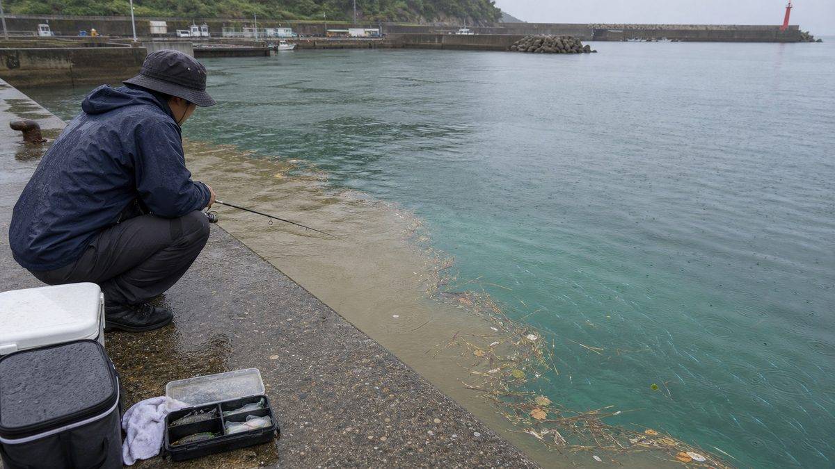 梅雨時期の海の環境変化：なぜ釣れる魚が変わるのかの要点をまとめた釣り攻略インフォグラフィック