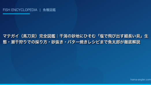 マテガイ（馬刀貝）完全図鑑｜干潟の砂地にひそむ「塩で飛び出す細長い貝」生態・潮干狩りでの採り方・砂抜き・バター焼きレシピまで魚太郎が徹底解説