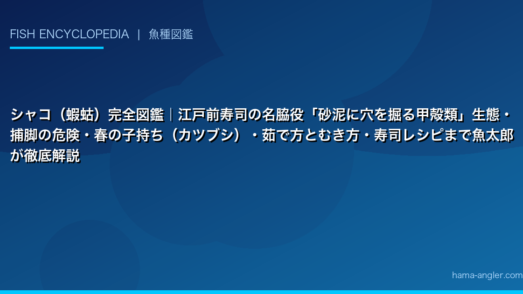 シャコ（蝦蛄）完全図鑑｜江戸前寿司の名脇役「砂泥に穴を掘る甲殻類」生態・捕脚の危険・春の子持ち（カツブシ）・茹で方とむき方・寿司レシピまで魚太郎が徹底解説