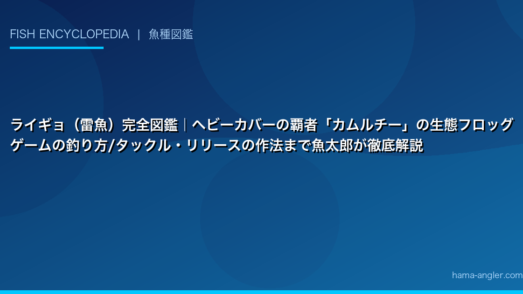 ライギョ（雷魚）完全図鑑｜ヘビーカバーの覇者「カムルチー」の生態フロッグゲームの釣り方/タックル・リリースの作法まで魚太郎が徹底解説