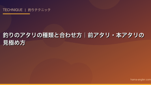 釣りのアタリの種類と合わせ方｜前アタリ・本アタリの見極め方