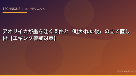 アオリイカが墨を吐く条件と『吐かれた後』の立て直し術【エギング警戒対策】