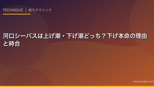 河口シーバスは上げ潮・下げ潮どっち？下げ本命の理由と時合