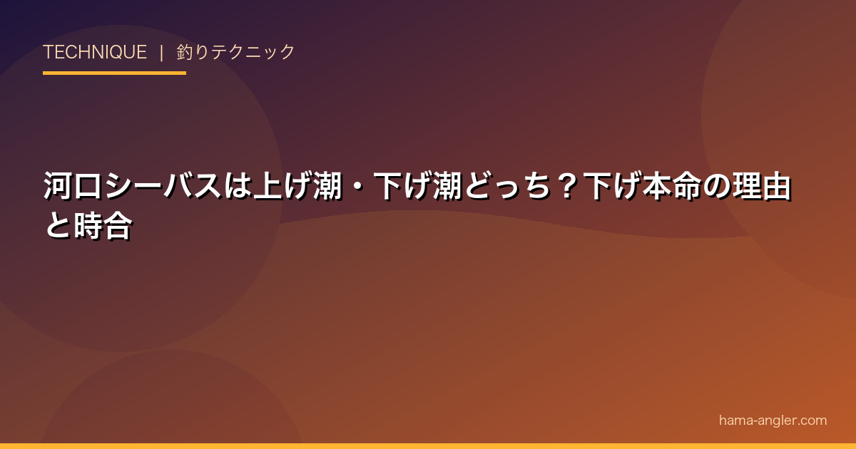 河口シーバスは上げ潮・下げ潮どっち？下げ本命の理由と時合