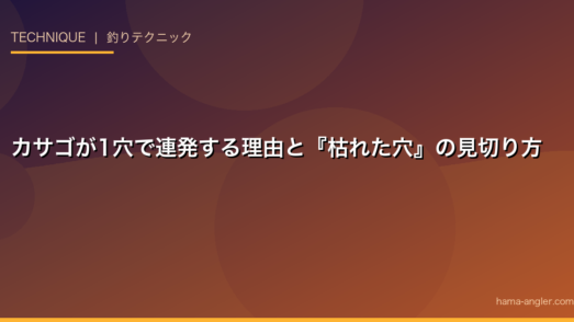 カサゴが1穴で連発する理由と『枯れた穴』の見切り方