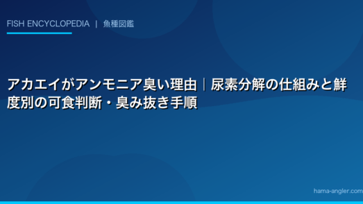 アカエイがアンモニア臭い理由｜尿素分解の仕組みと鮮度別の可食判断・臭み抜き手順