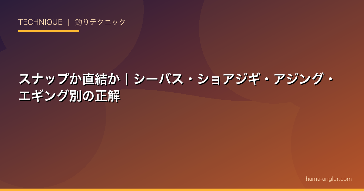 スナップか直結か｜シーバス・ショアジギ・アジング・エギング別の正解