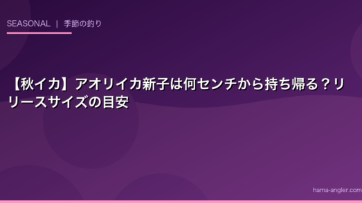 【秋イカ】アオリイカ新子は何センチから持ち帰る？リリースサイズの目安