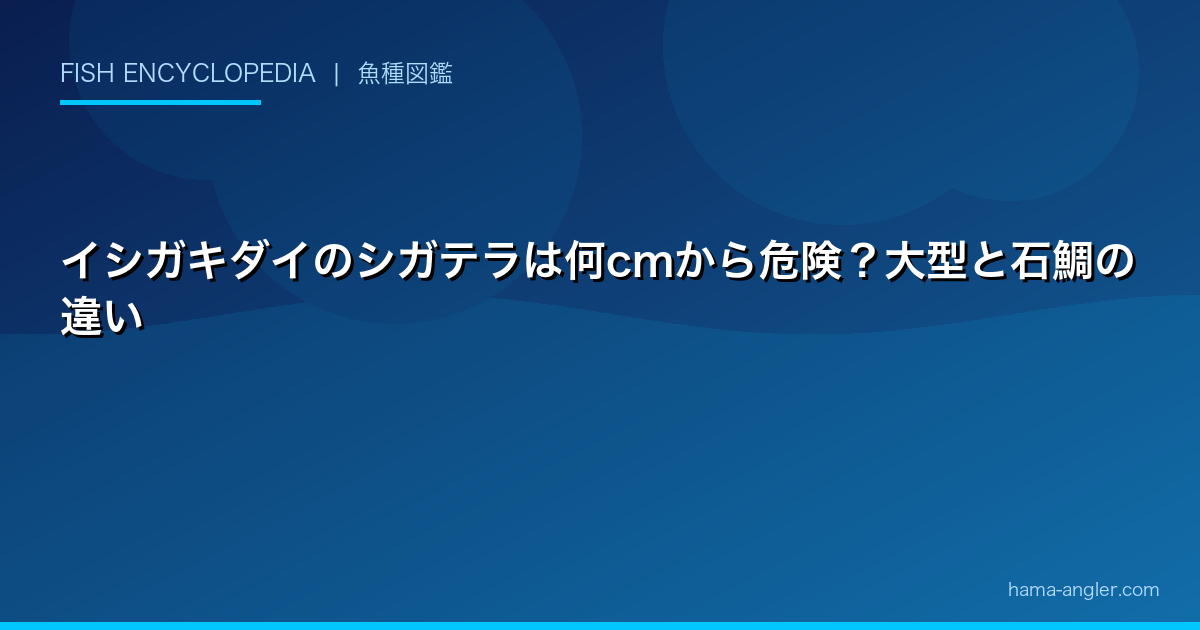 イシガキダイのシガテラは何cmから危険？大型と石鯛の違い