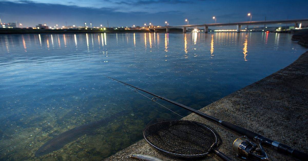 春の浜松エリアでバチ抜けを意識してシーバスを狙うイメージ