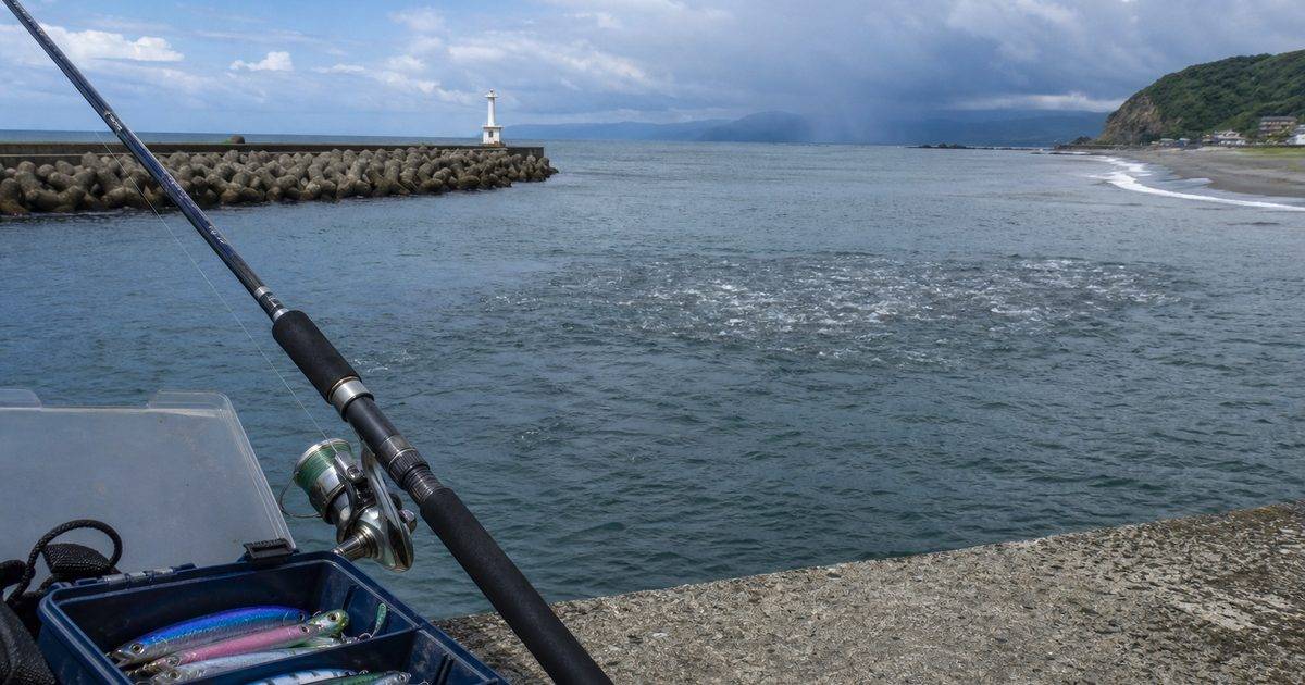 6月の海の環境変化と魚の動きの要点を伝える釣り記事アイキャッチ画像