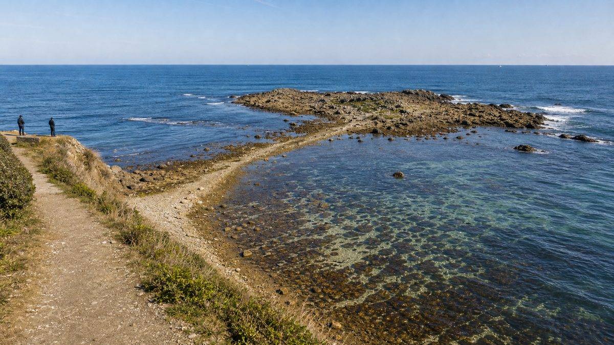 ポイント別攻略②:ネズミ島周辺の要点をまとめた釣り攻略インフォグラフィック