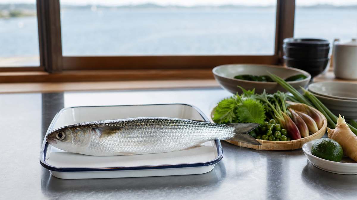 ボラの基本情報と浜名湖との関係の内容をイメージした写真