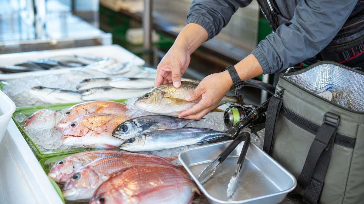 「魚のデパート カネヒロ」は名前負けしてない鮮魚スーパーでしたの要点をまとめた釣り攻略インフォグラフィック
