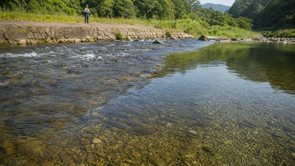 平瀬とトロ場が広がる阿多古川下流で泳ぐ小魚の群れ