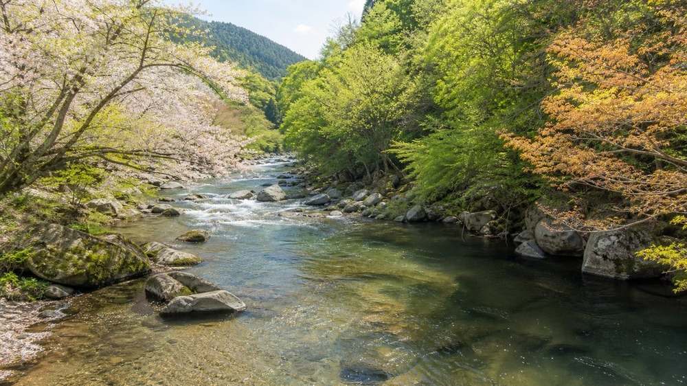 春から秋へ季節が移り魚の居場所が変わる清流の川景