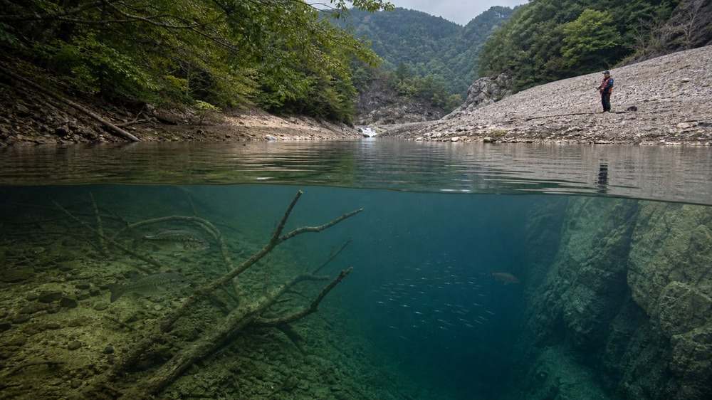 倒木のワンドと岩盤深場が続く山間ダム湖のポイント