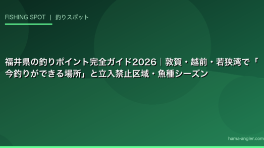福井県の釣りポイント完全ガイド2026｜敦賀・越前・若狭湾で「今釣りができる場所」と立入禁止区域・魚種シーズン