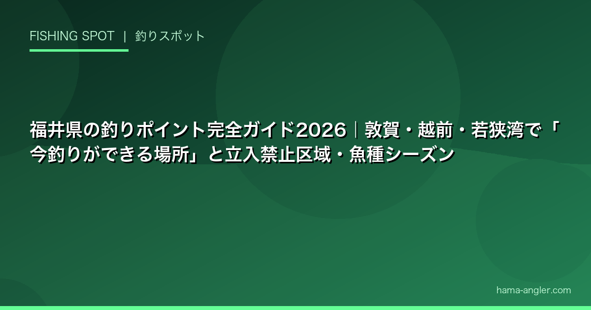 福井県の釣りポイント完全ガイド2026｜敦賀・越前・若狭湾で「今釣りができる場所」と立入禁止区域・魚種シーズン