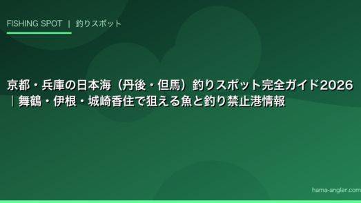 京都・兵庫の日本海（丹後・但馬）釣りスポット完全ガイド2026｜舞鶴・伊根・城崎香住で狙える魚と釣り禁止港情報