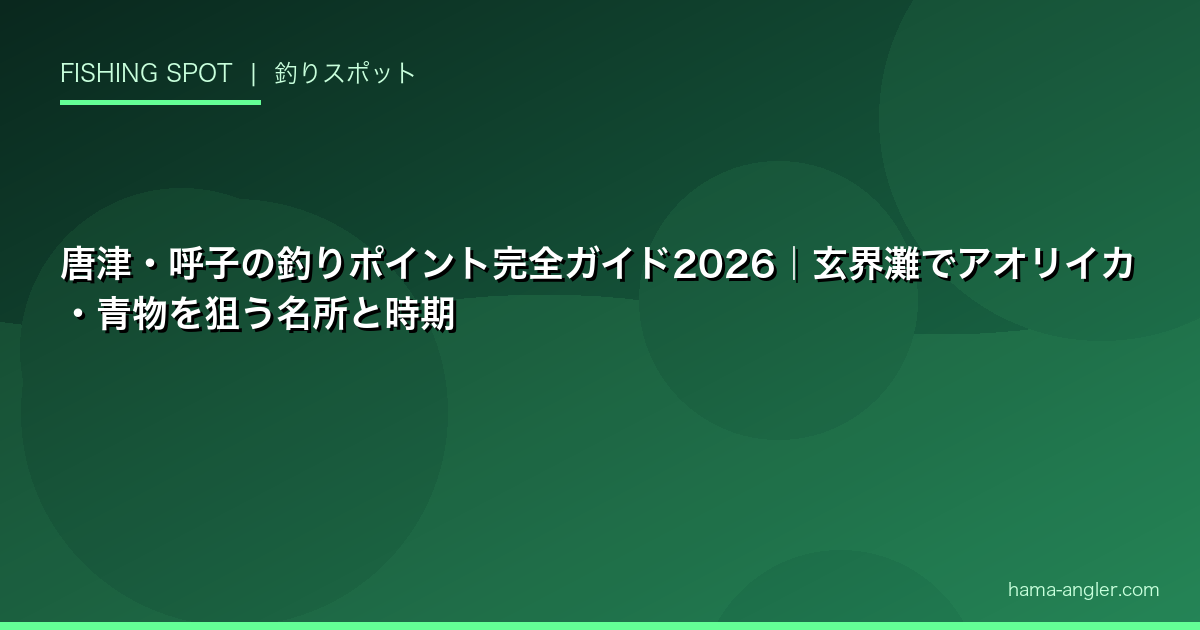 唐津・呼子の釣りポイント完全ガイド2026|玄界灘でアオリイカ・青物を狙う名所と時期