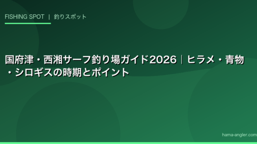 国府津・西湘サーフ釣り場ガイド2026｜ヒラメ・青物・シロギスの時期とポイント