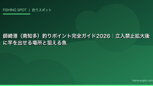 師崎港（南知多）釣りポイント完全ガイド2026｜立入禁止拡大後に竿を出せる場所と狙える魚
