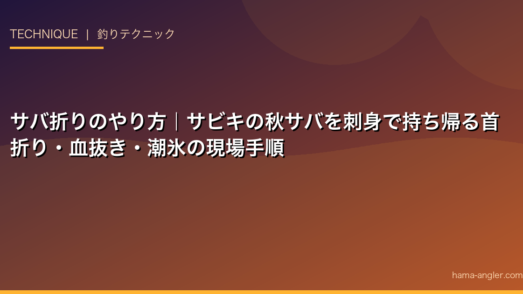 サバ折りのやり方｜サビキの秋サバを刺身で持ち帰る首折り・血抜き・潮氷の現場手順