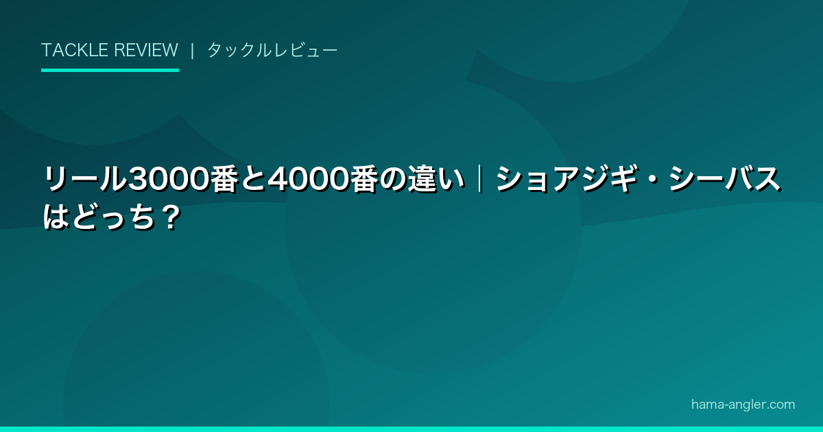 リール3000番と4000番の違い｜ショアジギ・シーバスはどっち？
