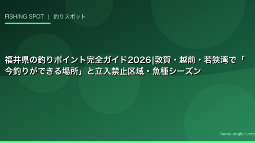 福井県の釣りポイント完全ガイド2026｜敦賀・越前・若狭湾で「今釣りができる場所」と立入禁止区域・魚種シーズン