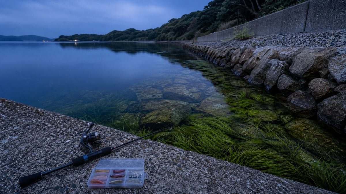 ポイント②：内浦湾北岸護岸（舘山寺総合公園〜志都呂方面）の要点をまとめた釣り攻略インフォグラフィック