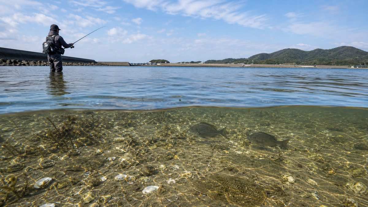 ポイント①:舞阪町〜砂揚場南側フラットの要点をまとめた釣り攻略インフォグラフィック