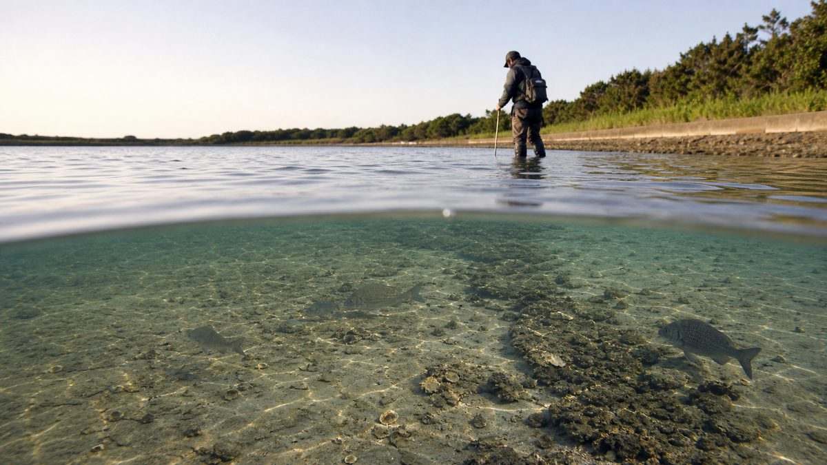 ポイント②:雄踏〜宇布見の浜名湖南岸フラットの要点をまとめた釣り攻略インフォグラフィック