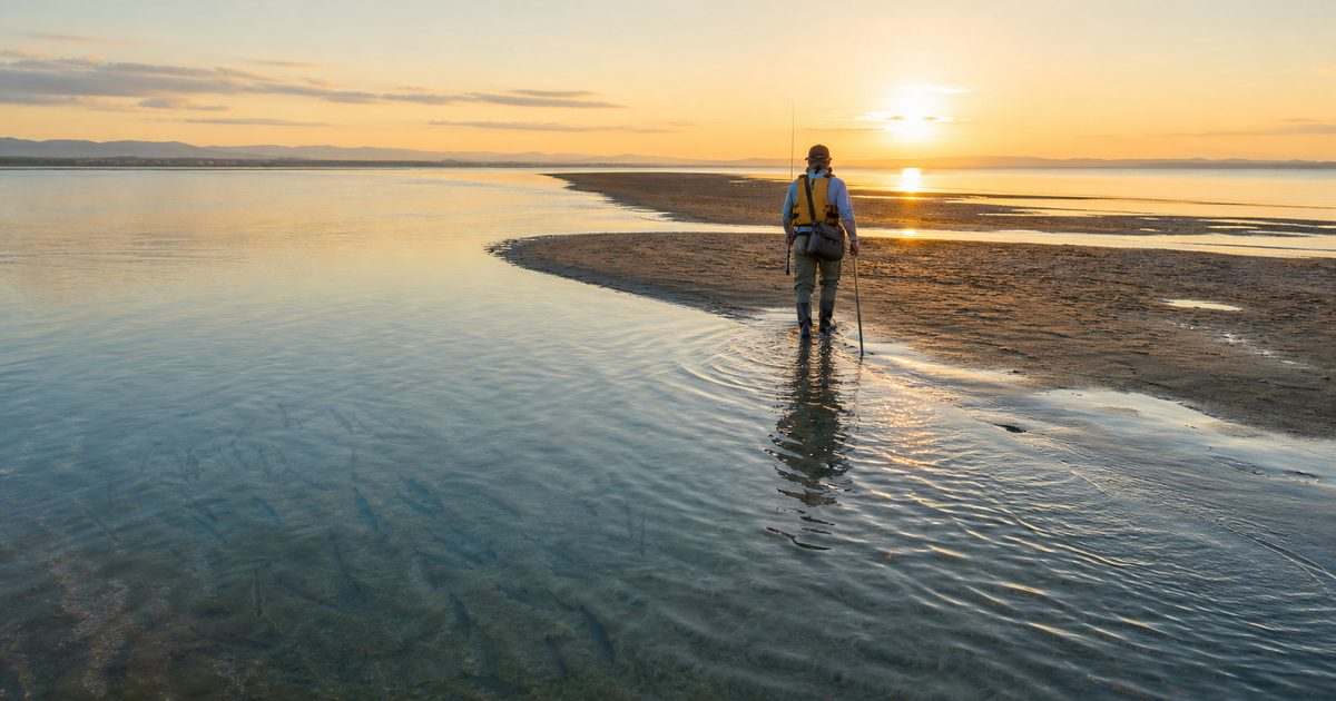 浜名湖ウェーディングで安全に浅瀬へ立ち込む釣り人と朝の干潟を示すアイキャッチ画像