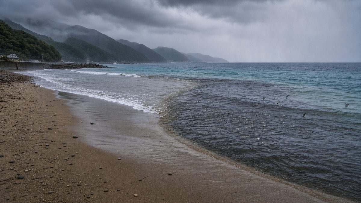 魚釣りで重要なのは魚が多いポイントを確保することの要点をまとめた釣り攻略インフォグラフィック