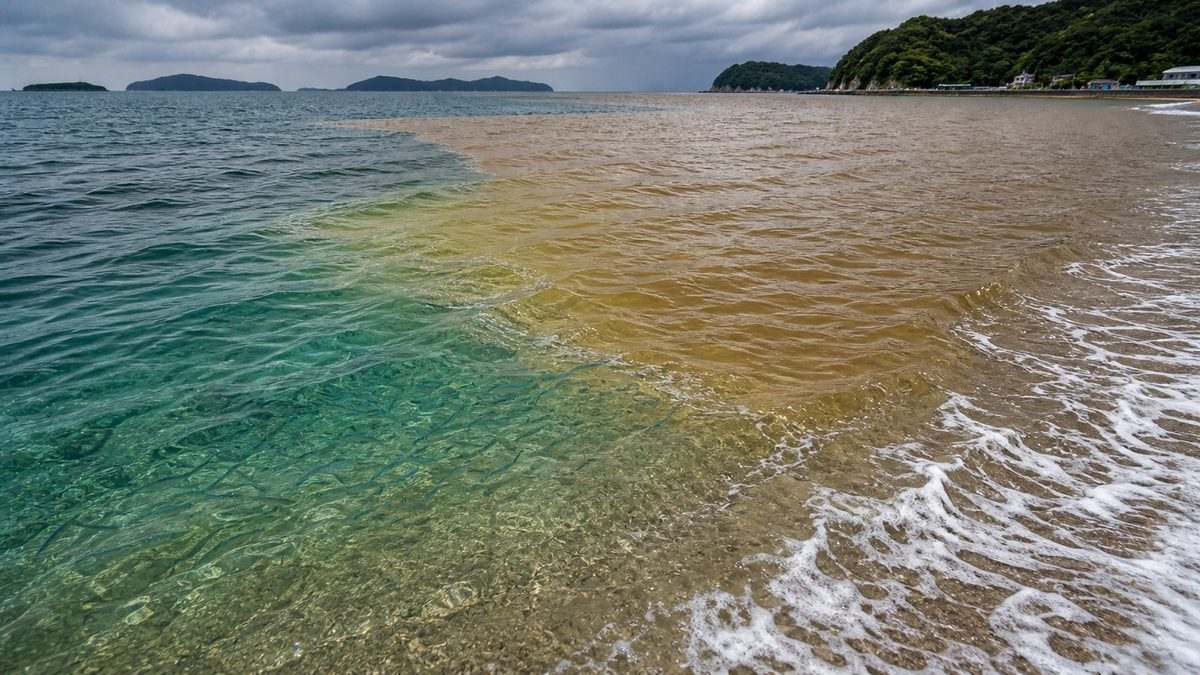 濁りの「色」を読む——良い濁りと悪い濁りの見分け方の要点をまとめた釣り攻略インフォグラフィック