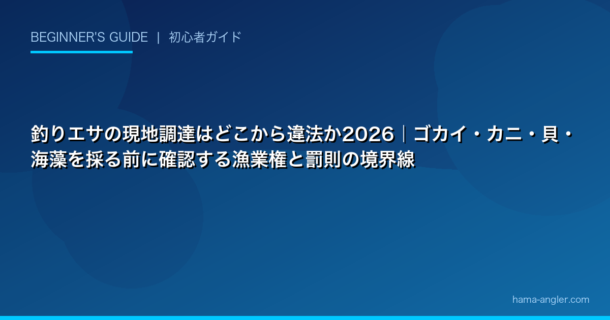 釣りエサの現地調達はどこから違法か2026｜ゴカイ・カニ・貝・海藻を採る前に確認する漁業権と罰則の境界線